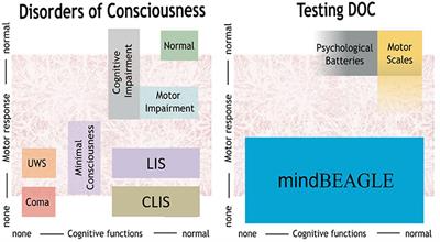 Complete Locked-in and Locked-in Patients: Command Following Assessment and Communication with Vibro-Tactile P300 and Motor Imagery Brain-Computer Interface Tools